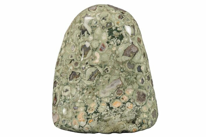 Free-Standing, Polished Rainforest Jasper (Rhyolite) - Australia #208478